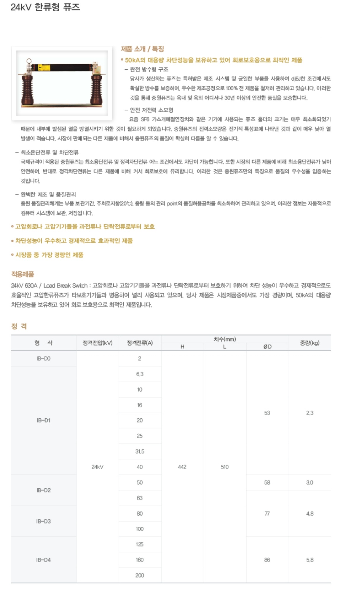 24kV 한류형 퓨즈.jpg